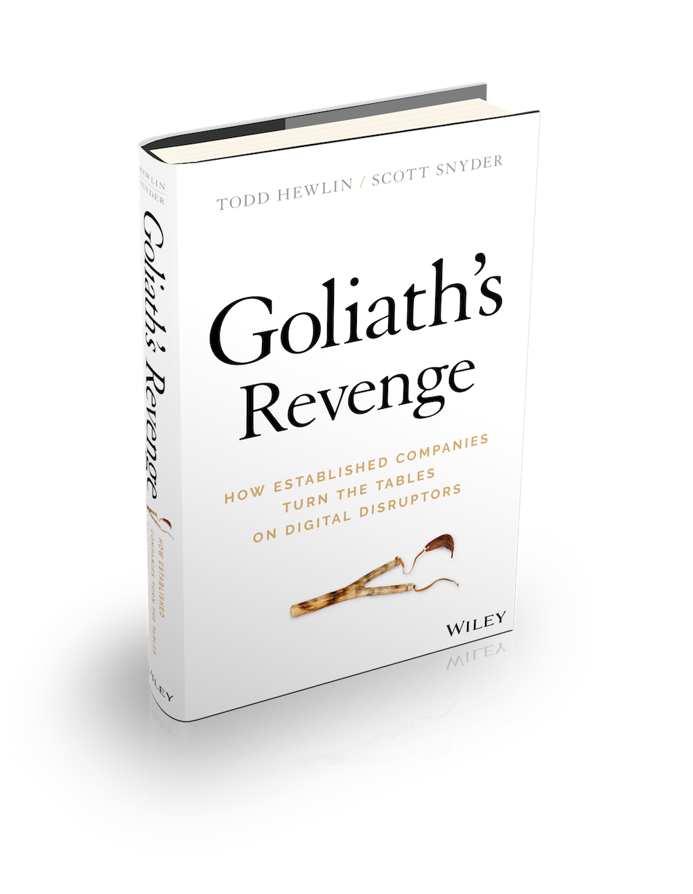 Goliath's Revenge Book
